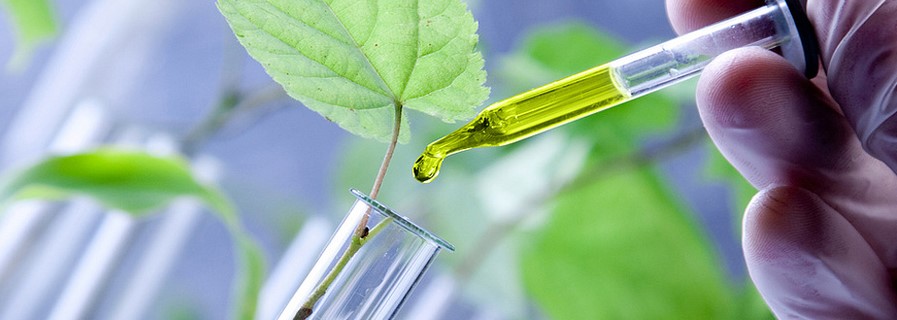 biotechnology_background